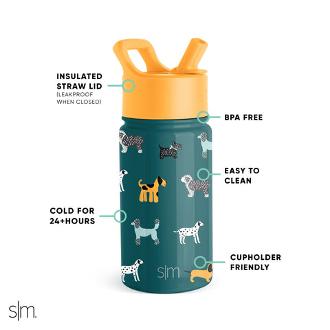 Summit Water Bottle with Straw Lid – Simple Modern