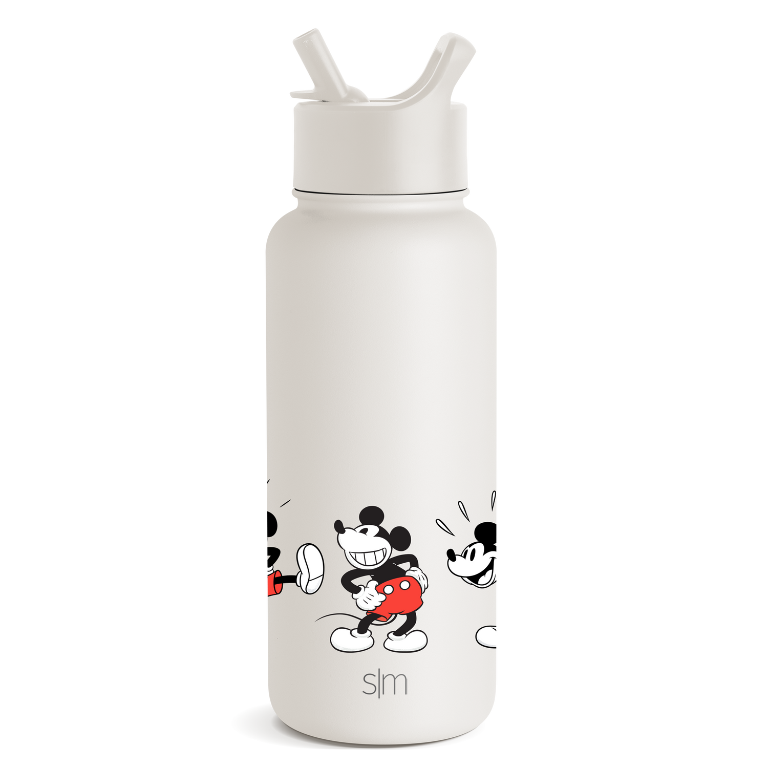Disney Insulated Water Bottle/Tumbler with BuiltIn Straw Simple Modern