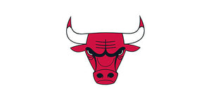 Chicago Bulls