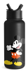 Image of Disney Summit Water Bottle with Straw Lid